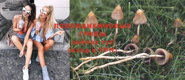 дурь Арсеньев