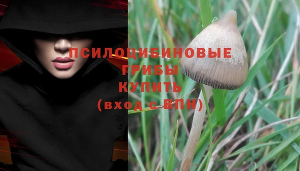 эйфоретик Армянск