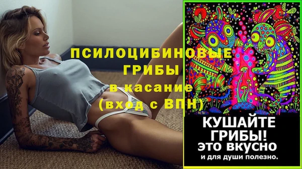 эйфоретик Армянск