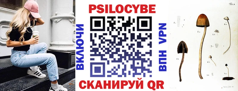 Галлюциногенные грибы Cubensis  Новоузенск 